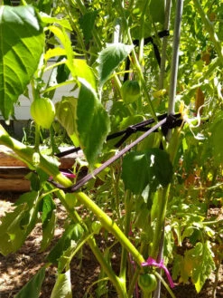 Farmyarn® Multipurpose Garden Tie, 2 Pack 16 Farmyarn® Multipurpose Garden Tie, 2 Pack -Grow Essentials Sales 8612948 02v