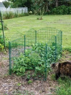 6 Panel Critter Fence With Gate -Grow Essentials Sales 8612967 2570 tif