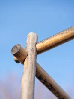 Tomato Six Pack Support -Grow Essentials Sales 8613143 0385 1