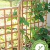 Bamboo Zig-Zag Trellis 24" X 36" -Grow Essentials Sales 8613151 15