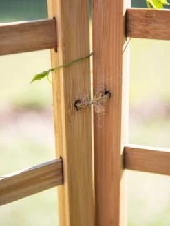 Bamboo Zig-Zag Trellis 24" X 36" -Grow Essentials Sales 8613151 6483