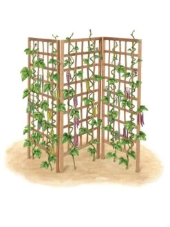 Bamboo Zig-Zag Trellis 24" X 36" -Grow Essentials Sales 8613151 art flat