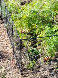 Chicken Wire Critter Fence, 16" High -Grow Essentials Sales 8613249 0309