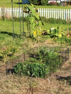 Chicken Wire Critter Fence, 16" High -Grow Essentials Sales 8613249 0329