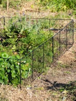 Chicken Wire Critter Fence, 16" High -Grow Essentials Sales 8613249 0336
