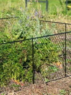 Chicken Wire Critter Fence, 16" High -Grow Essentials Sales 8613249 0352