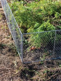 Chicken Wire Critter Fence, 16" High -Grow Essentials Sales 8613249 0358