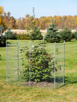 Tall Chicken Wire Critter Fence Extension Panel, Set Of 2 19 Tall Chicken Wire Critter Fence Extension Panel, Set Of 2 -Grow Essentials Sales 8613260 0030 1