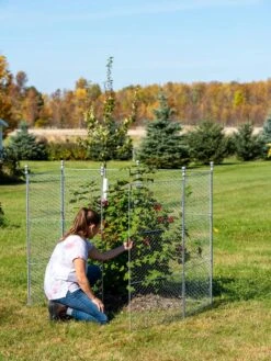 Tall Chicken Wire Critter Fence Extension Panel, Set Of 2 21 Tall Chicken Wire Critter Fence Extension Panel, Set Of 2 -Grow Essentials Sales 8613260 0044 1