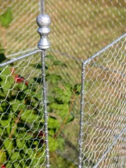 Tall Chicken Wire Critter Fence With Gate -Grow Essentials Sales 8613260 0083