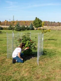 Tall Chicken Wire Critter Fence Extension Panel, Set Of 2 20 Tall Chicken Wire Critter Fence Extension Panel, Set Of 2 -Grow Essentials Sales 8613260 0090