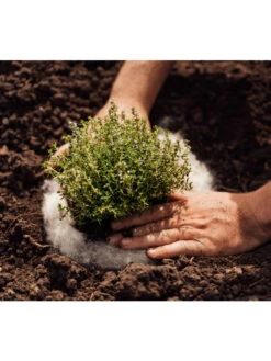 Hortiwool ®, 5 Pad Pack -Grow Essentials Sales 8613263 06v