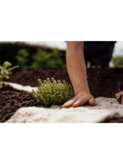 Hortiwool ®, Starter Garden Pad -Grow Essentials Sales 8613263 09v