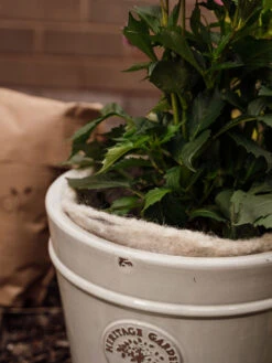 Hortiwool ®, 5 Pad Pack -Grow Essentials Sales 8613263 17v