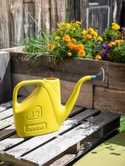 Bama® Watering Can -Grow Essentials Sales 8613299 0114