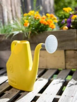Bama® Watering Can -Grow Essentials Sales 8613299 0129