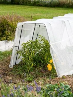 Zenith Garden Hoops, Set Of 4 -Grow Essentials Sales 8613313 0133 1