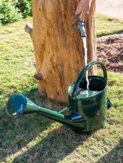 Long Reach Watering Can, Large -Grow Essentials Sales 8613346 0147
