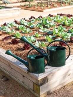 Long Reach Watering Can, Large -Grow Essentials Sales 8613346 0148 1