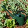 Long Reach Watering Can, Large -Grow Essentials Sales 8613346 0149
