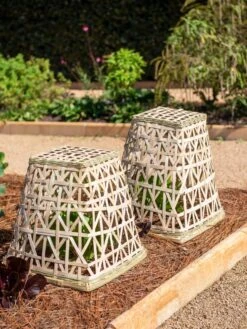 Bamboo Cloche, Set Of 2 -Grow Essentials Sales 8613351 0150 bamboo cloche set of 2