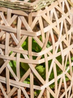 Bamboo Cloche, Set Of 2 -Grow Essentials Sales 8613351 0153