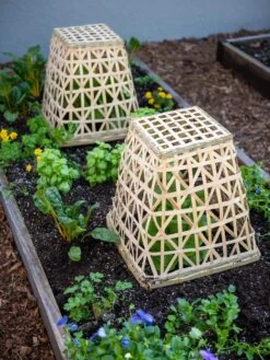 Bamboo Cloche, Set Of 2 -Grow Essentials Sales 8613351 6766