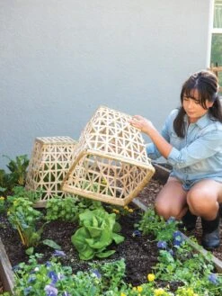 Bamboo Cloche, Set Of 2 -Grow Essentials Sales 8613351 6862