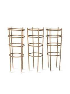 Bamboo Tomato Cages, Set Of 3 -Grow Essentials Sales 8613426 4679 bamboo tomato cages 3