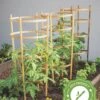Bamboo Tomato Cages, Set Of 3 -Grow Essentials Sales 8613426 7