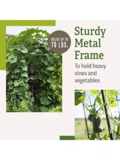 Titan Squash Tunnel -Grow Essentials Sales B07932DMCR plantsupport benefits 2