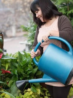 French Blue Watering Can -Grow Essentials Sales EmilyHoangSquare 0151 tif
