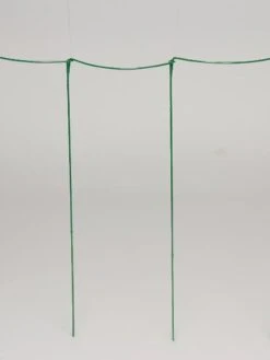 Curved Linking Stakes 10 Curved Linking Stakes -Grow Essentials Sales GS35241 04S tif