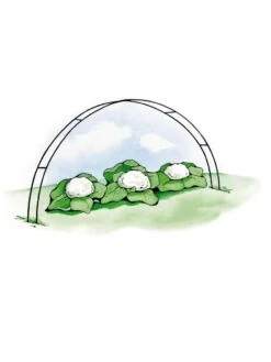 Super Hoops, Set Of 6 -Grow Essentials Sales GS39423 02S 3 4