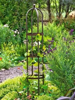 Jardin Bird Cage Support, 26" -Grow Essentials Sales GS39529 01 tif