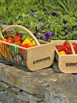 Garden Hods -Grow Essentials Sales GS39761 01 tif