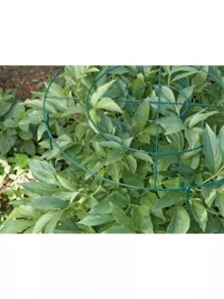 Grow Through Supports, Set Of 3 -Grow Essentials Sales GS40172 01 1