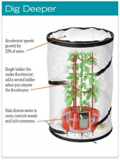 Tomato TLC Kits, Set Of 3 -Grow Essentials Sales hiw 8594214 jpg