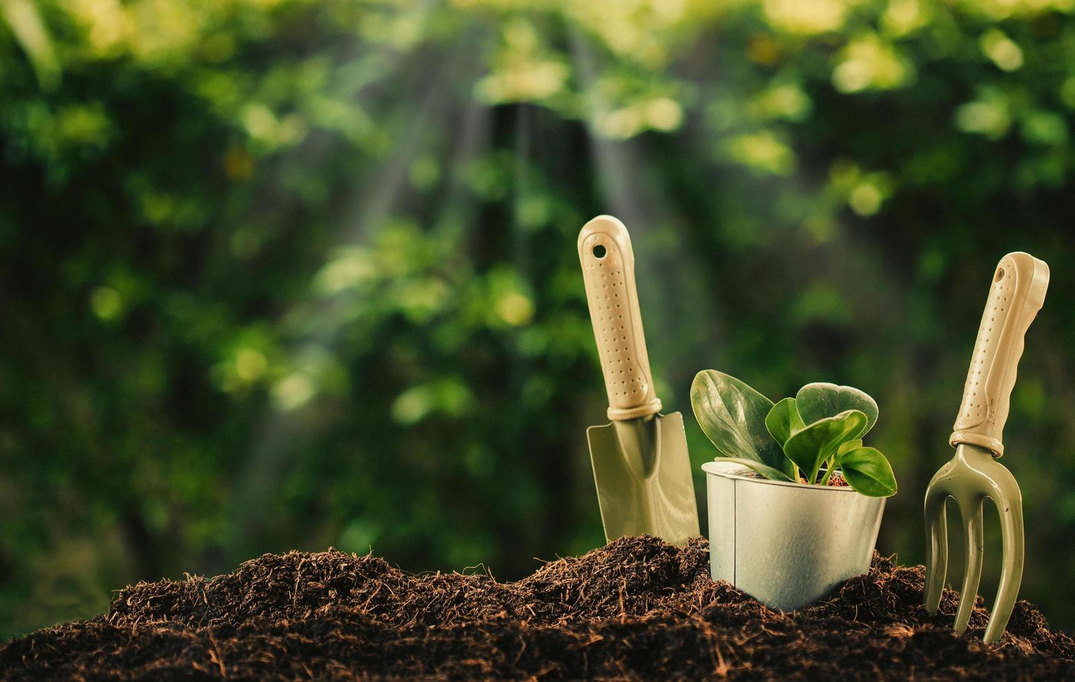 Grow Essentials Sales -Grow Essentials Sales planting a small plant on a pile of soil with gardening tools on green bokeh background free photo